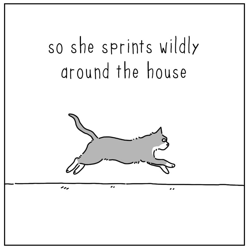 https://cdn-dev.tinyview.com/they-can-talk/2025/08/25/zoomies/cat_zoomies3.jpg