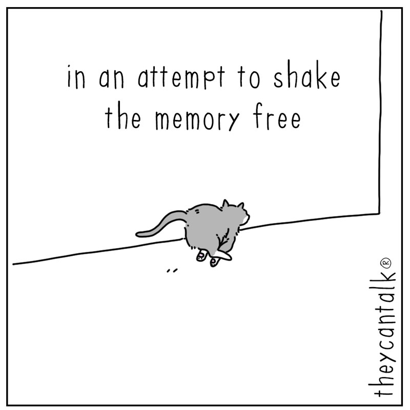 https://cdn-dev.tinyview.com/they-can-talk/2025/08/25/zoomies/cat_zoomies4.jpg