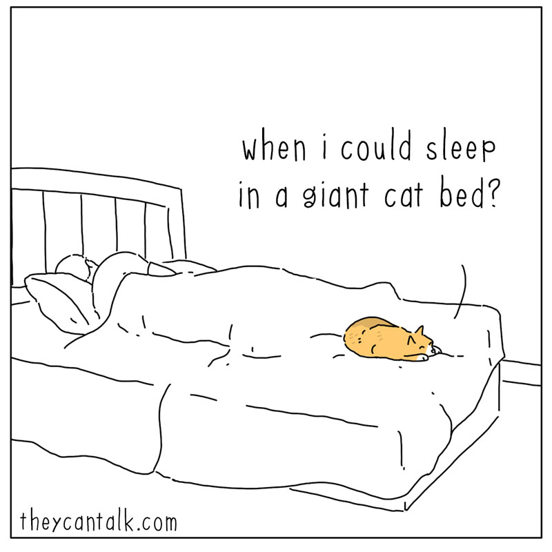 https://cdn-dev.tinyview.com/they-can-talk/2025/09/12/bed/cat_giantbed2.jpg