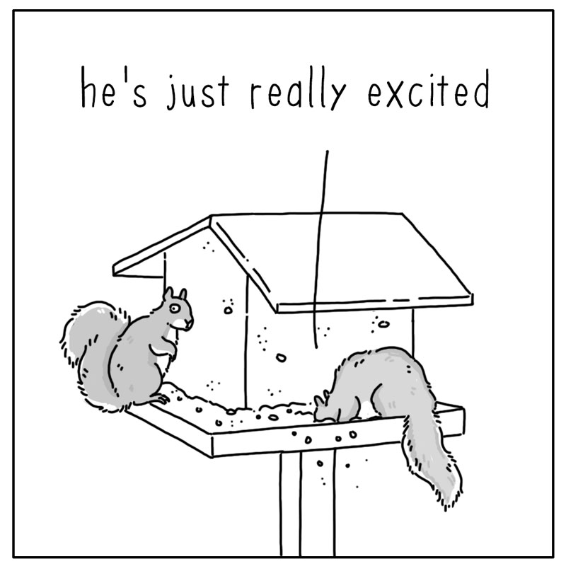 https://cdn-dev.tinyview.com/they-can-talk/2025/09/18/excited/squirrel_excited4.jpg