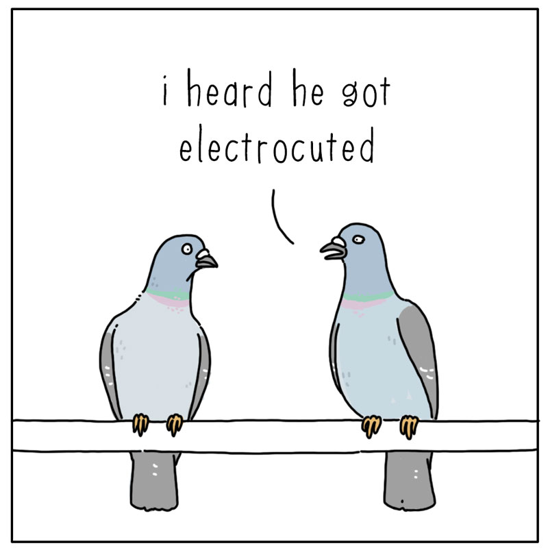 https://cdn-dev.tinyview.com/they-can-talk/2025/09/22/electrocuted/pigeon_electrocuted1.jpg