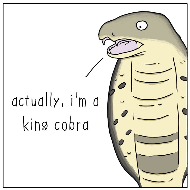 https://cdn-dev.tinyview.com/they-can-talk/2025/09/26/cobra/snake_king2.jpg
