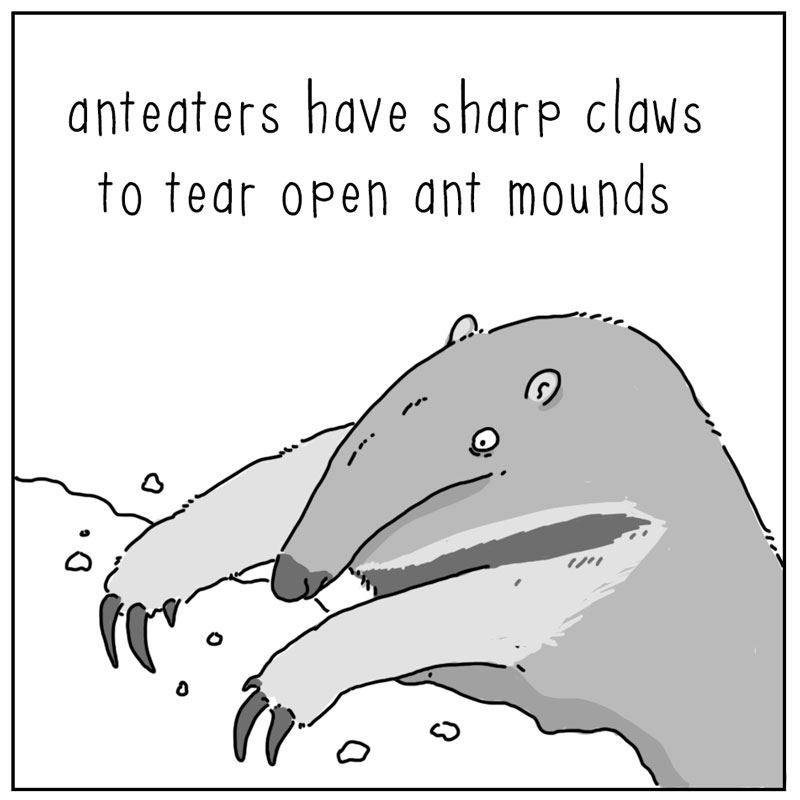 https://cdn-dev.tinyview.com/they-can-talk/2025/10/06/anteater/anteater_design1.jpg