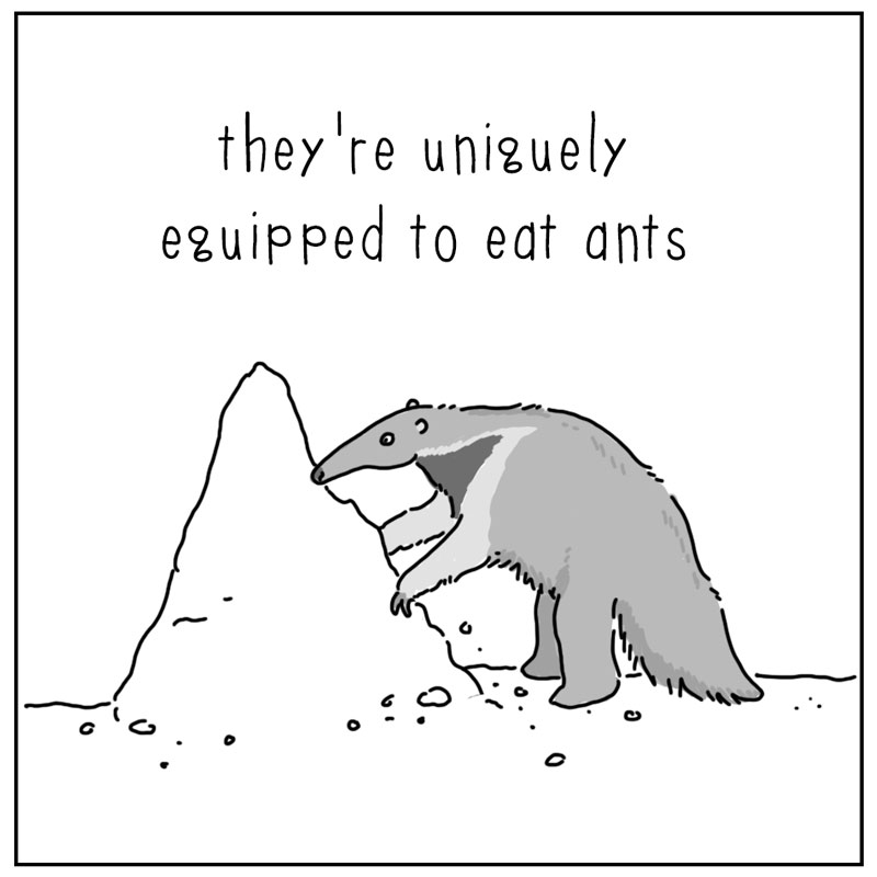 https://cdn-dev.tinyview.com/they-can-talk/2025/10/06/anteater/anteater_design3.jpg