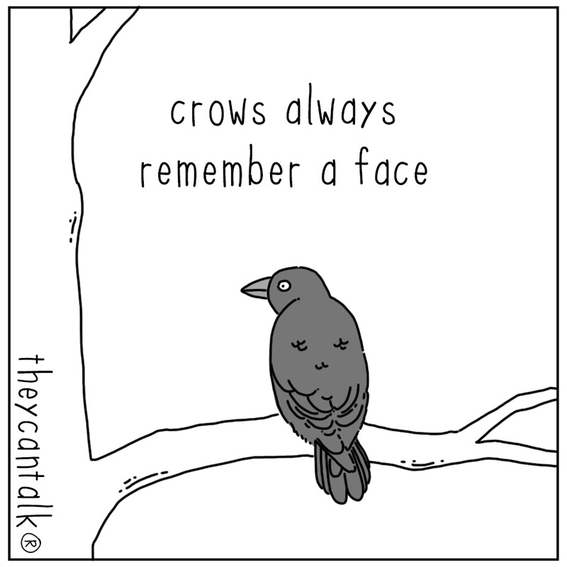 https://cdn-dev.tinyview.com/they-can-talk/2025/10/10/remember/crow_remember1.jpg