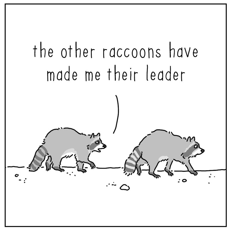 https://cdn-dev.tinyview.com/they-can-talk/2025/10/20/leader/raccoon_leader1.jpg