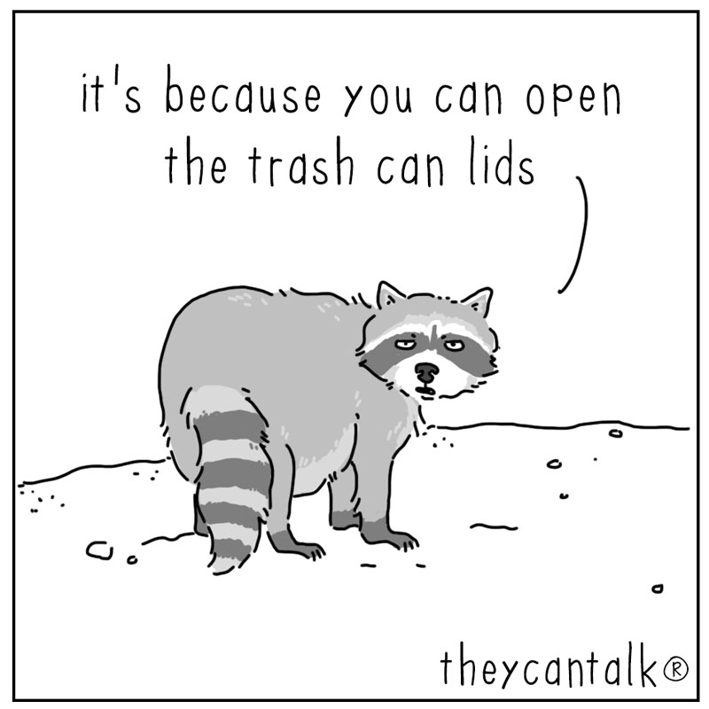 https://cdn-dev.tinyview.com/they-can-talk/2025/10/20/leader/raccoon_leader4.jpg