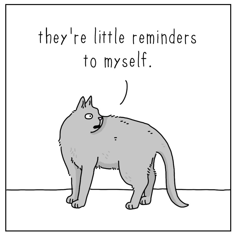 https://cdn-dev.tinyview.com/they-can-talk/2025/11/07/reminders/cat_reminder2.jpg