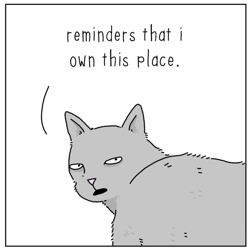 https://cdn-dev.tinyview.com/they-can-talk/2025/11/07/reminders/cat_reminder4.jpg