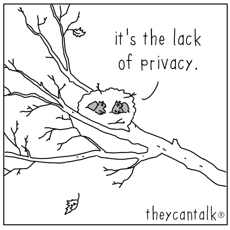 https://cdn-dev.tinyview.com/they-can-talk/2025/11/24/grievance/squirrel_privacy3.jpg