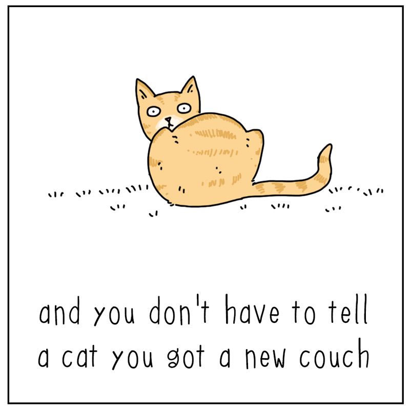 https://cdn-dev.tinyview.com/they-can-talk/2025/12/05/instinct/cat_couch3.jpg