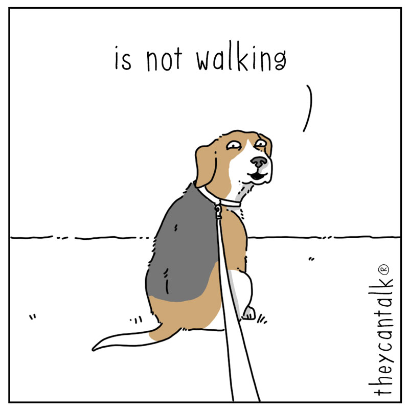 https://cdn-dev.tinyview.com/they-can-talk/2025/12/07/walk/dog_notwalking2.jpg