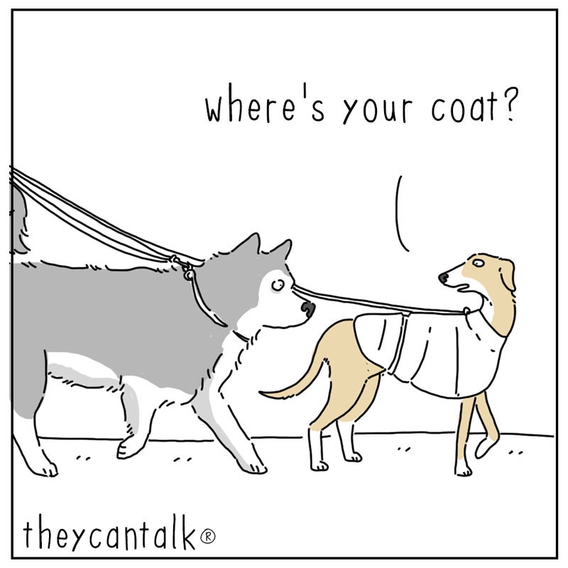 https://cdn-dev.tinyview.com/they-can-talk/2025/12/1/coat/dog_coat1.jpg