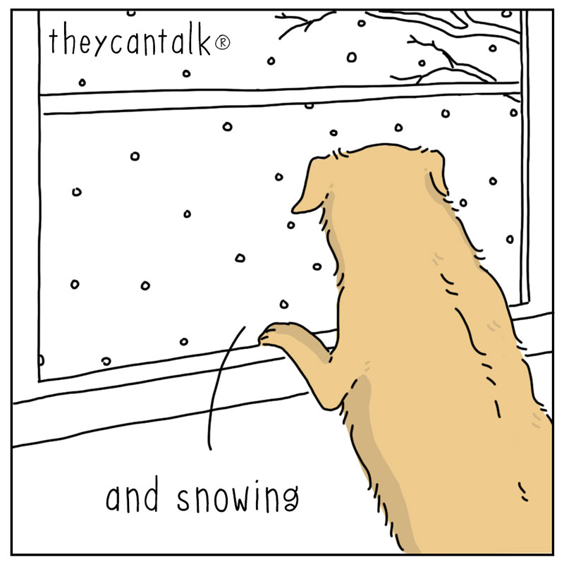 https://cdn-dev.tinyview.com/they-can-talk/2025/12/13/winter/dog_winterwalk3.jpg