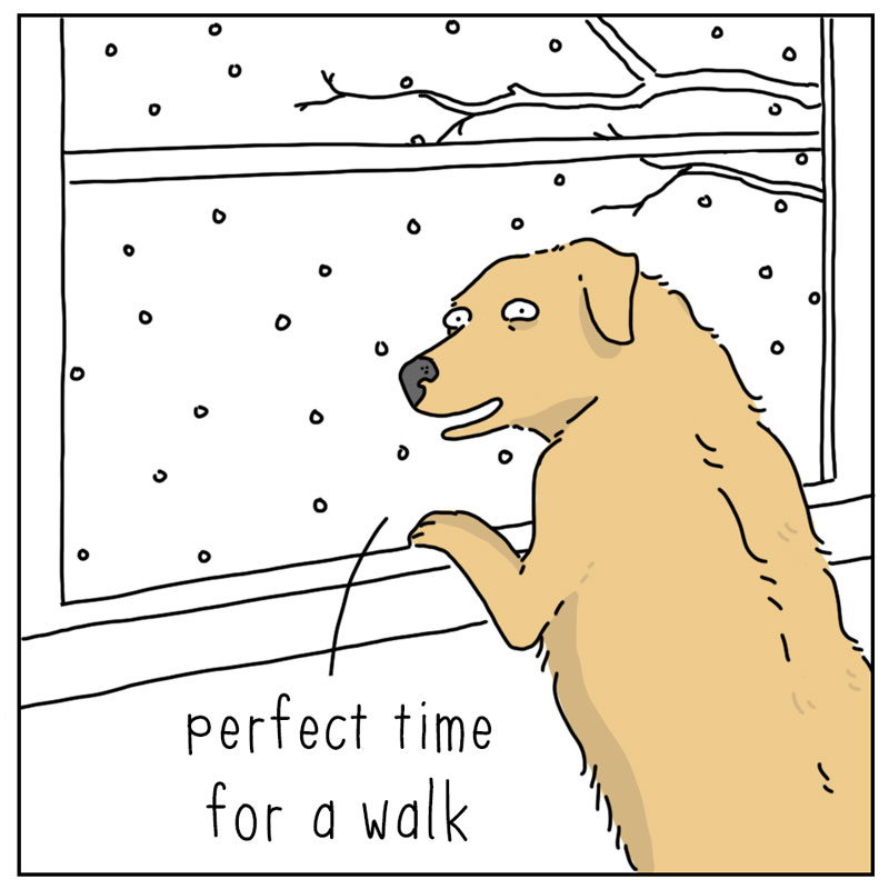 https://cdn-dev.tinyview.com/they-can-talk/2025/12/13/winter/dog_winterwalk4.jpg
